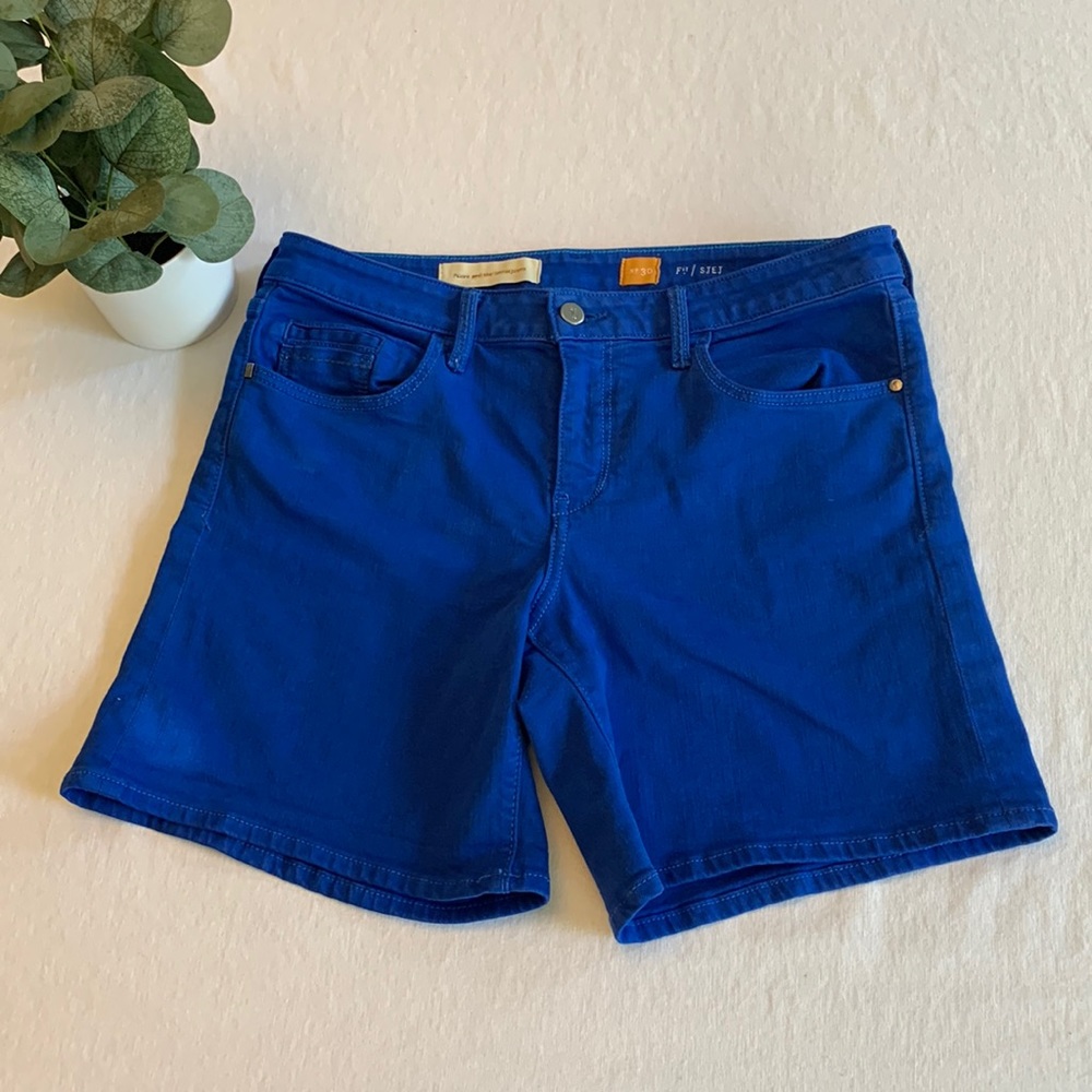 Anthropologie Blue High Rise Shorts 10/30